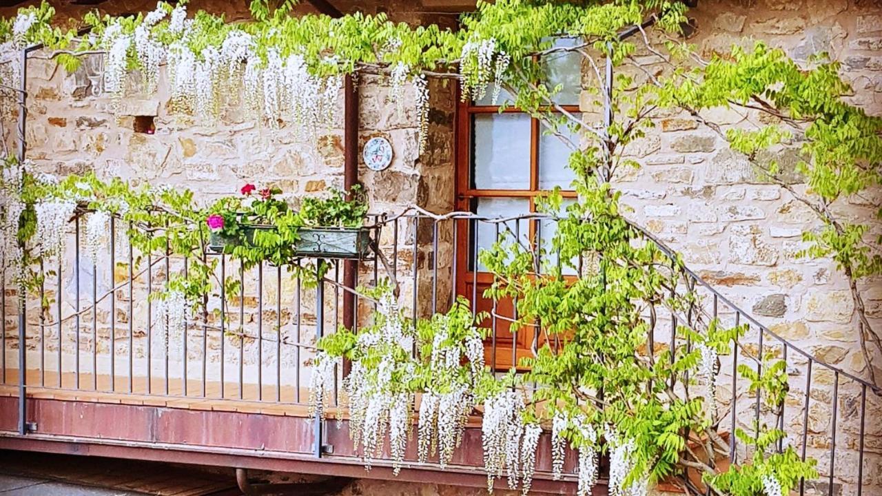 Hotel Podere Conti Filattiera Eksteriør billede